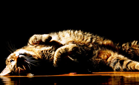 cal stretches
